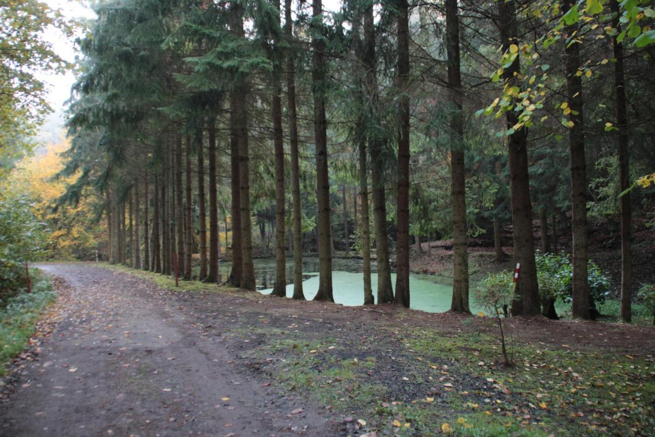 Ferienhaus "Baeren Ecke" Am See Im Bergland 基希海姆 外观 照片